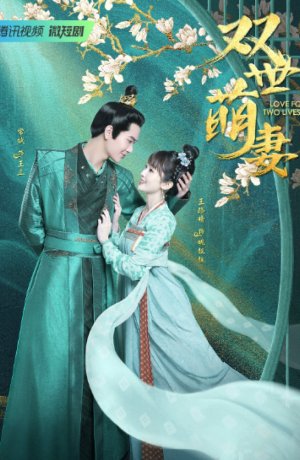 Дорама Два мира - одна жена онлайн