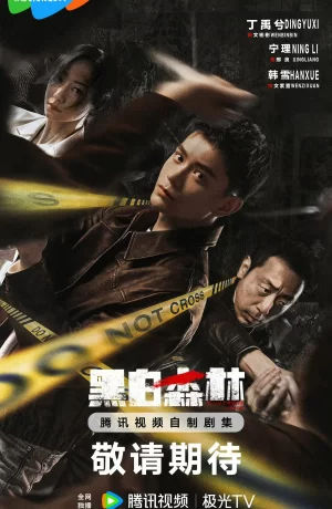 Дорама Чёрно-белый лес онлайн